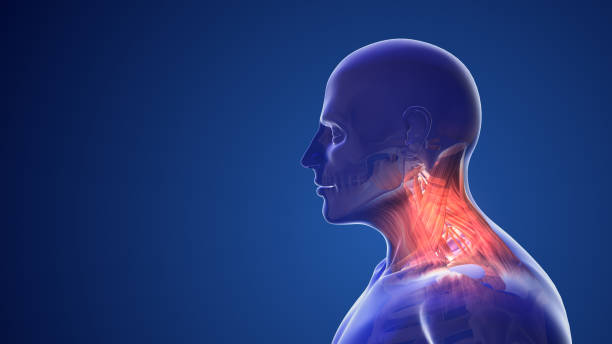 istock Cervical postural syndrome or neck pain 1497903501