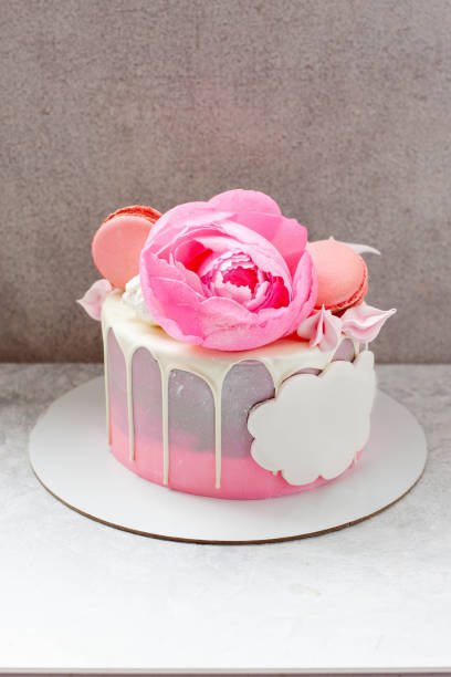 istock Elegant grey cake decorated with melted white chocolate, macaroons, edible pink peony flower, cake pops and meringues with copy space for text 1497904006