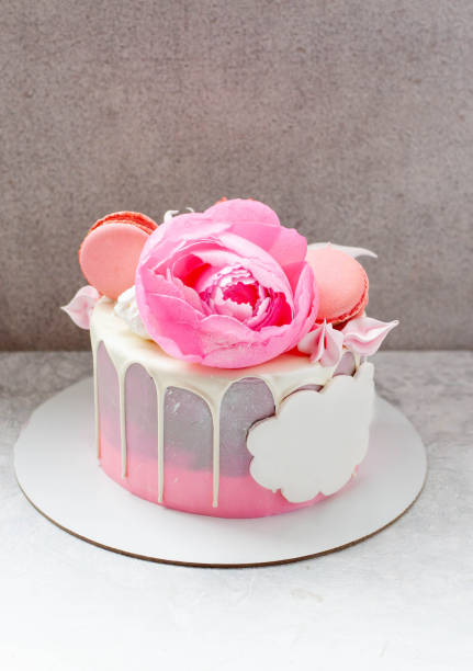 istock Elegant grey cake decorated with melted white chocolate, macaroons, edible pink peony flower, cake pops and meringues with copy space for text 1497904010
