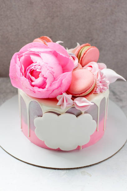 istock Elegant grey cake decorated with melted white chocolate, macaroons, edible pink peony flower, cake pops and meringues with copy space for text 1497904011