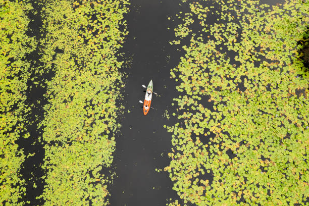 istock Summer travel kayaking. Two Asian people canoeing with paddle, for exploring the beautiful swamp at outdoor. Traveling by canoe on the river on a sunny day in beautiful marsh. Health and Wellbeing. Good mental health 1497904085