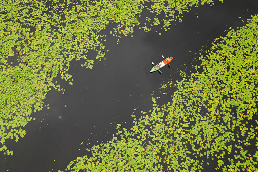 High angle view of two mid adult Asian friends going for a canoe ride on the lake. Two female kayakers enjoy paddling through the channels and canals in summer during taking a rest in weekend. The best way to get around by boat. Good mental health and wellbeing.
