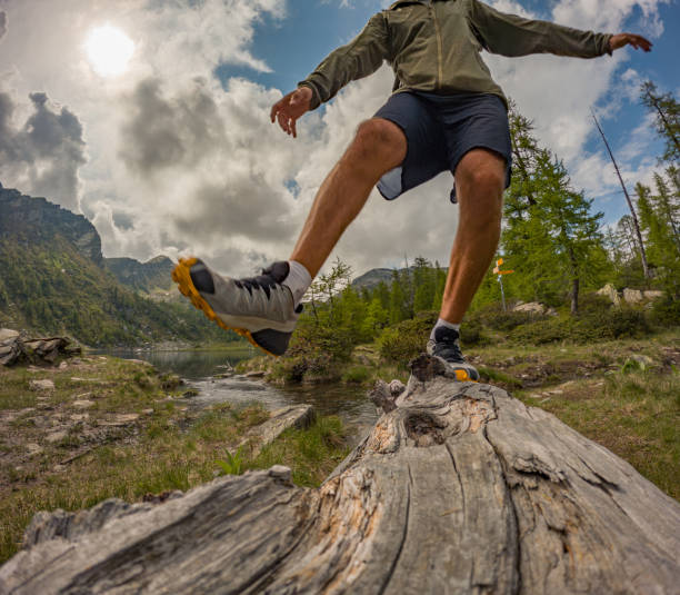 istock Male hiker crosses river on tree trunk 1497904212