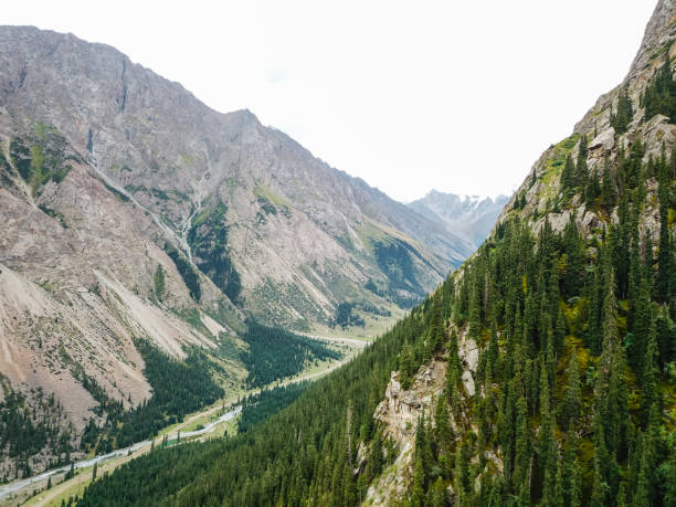 istock Mountains surrounded with fir trees 1497906444