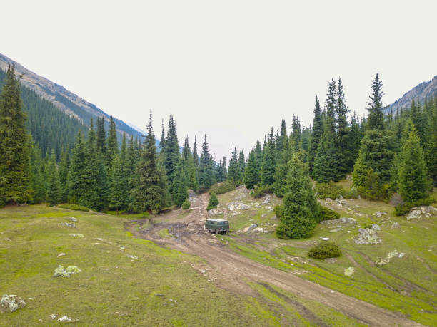 istock Mountain river and fir trees 1497906749