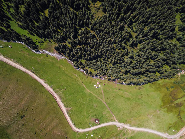 istock Mountain river and fir trees 1497906796