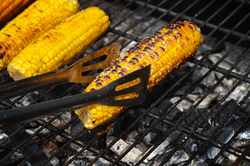 Corn cobs roasting on a bbq grill. Close up.