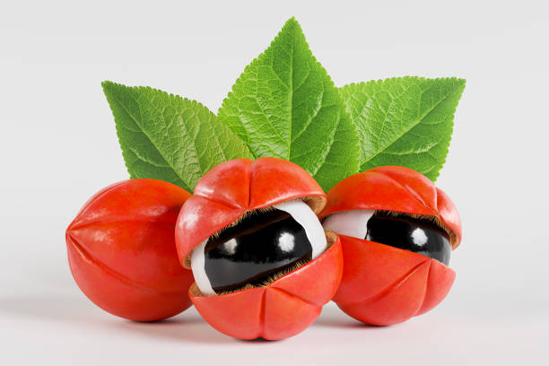 istock Guarana with leaves, exotic fruit from the Amazon 1497912527