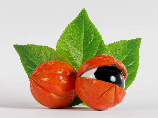 istock Guarana fruit from the Amazon with apparent seed and leaves 1497912529