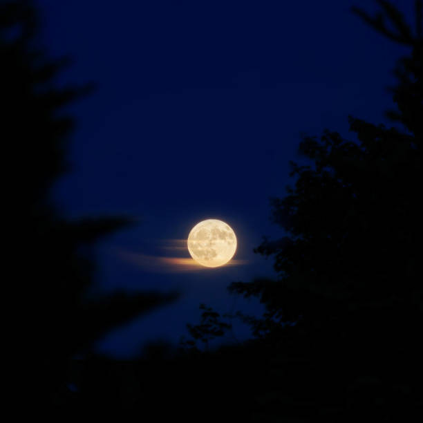 istock Full moon of June over the trees 1497914178