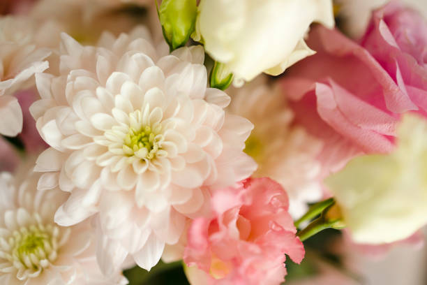 istock Close-up flowers, roses, eustoma, pink chrysanthemums. 1497916907