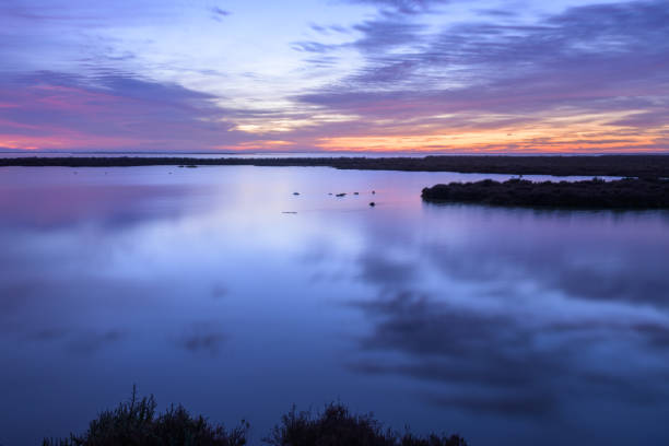 nascer do sol nas zonas húmidas do camargue - cloud morning delta landscape - fotografias e filmes do acervo