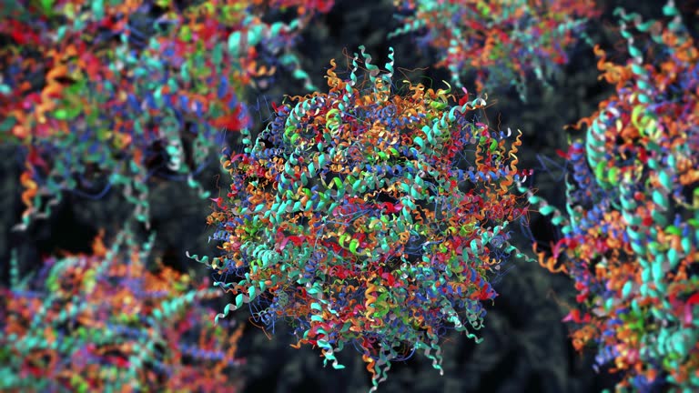 Chain of amino acid or biomolecules called protein