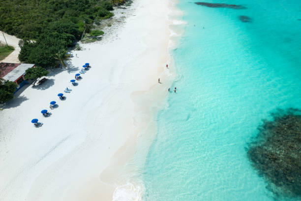 istock Shoal Bay Aerial 1497921716
