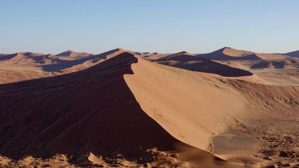 istock Sand dunes in the Namib 1497922208