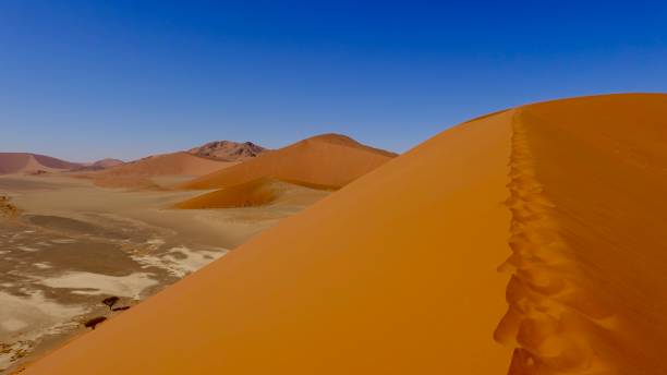 istock Sand dunes in the Namib 1497922748