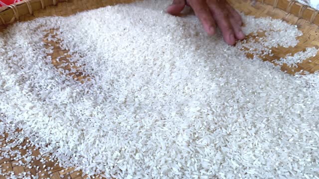 winnowing rice on a round rattan tray.