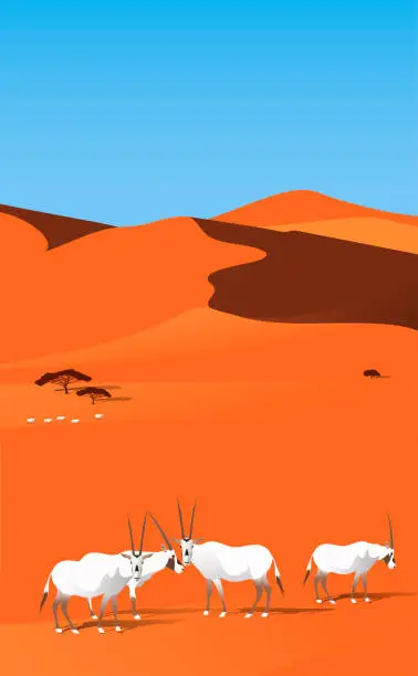 Vector illustration of Desert Conservation Reserve,Arabian desert landscapes with Oryx family