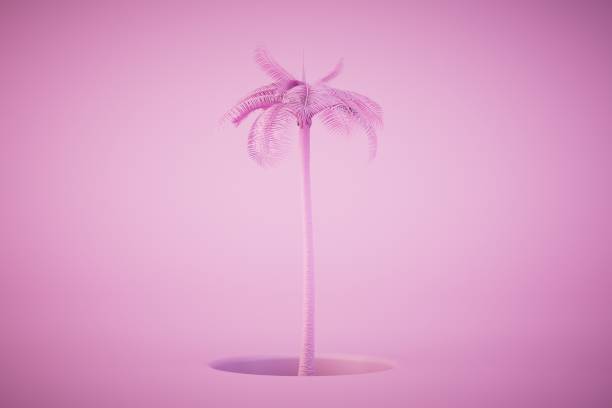 istock pink coconut palm tree isolated on pastel background. 3d render 1497926182
