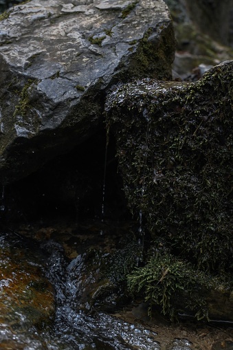 A closeup shot of a rushing stream of water cascading over rocks in a tranquil  outdoor setting