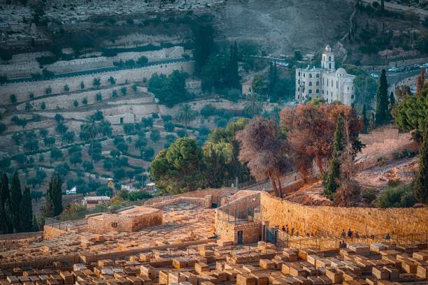 istock a city that has a large area full of brown blocks 1497930834