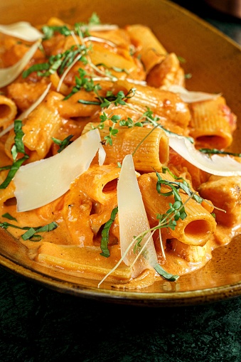 A plate filled with delicious Rigatoni pasta with salmon and cheese slices