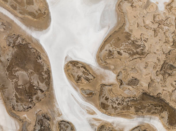 istock Natural shapes and textures on lake 1497931612