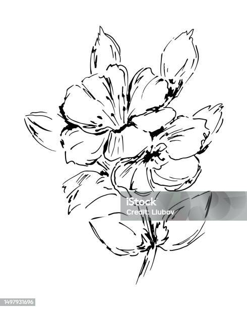Bunga Ranting Skp Gambar Samar Ranting Yang Indah Dengan Bungabunga Mekar Elemen Desain ...