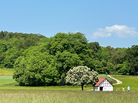 A scenic view of a lush grassy field in Munich, Germany, with a small house in the distance