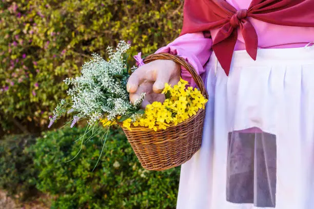 Photo of Gegants are large figures of festive imagery, they are a very important element of the main festivities of many towns in the Catalan Countries.