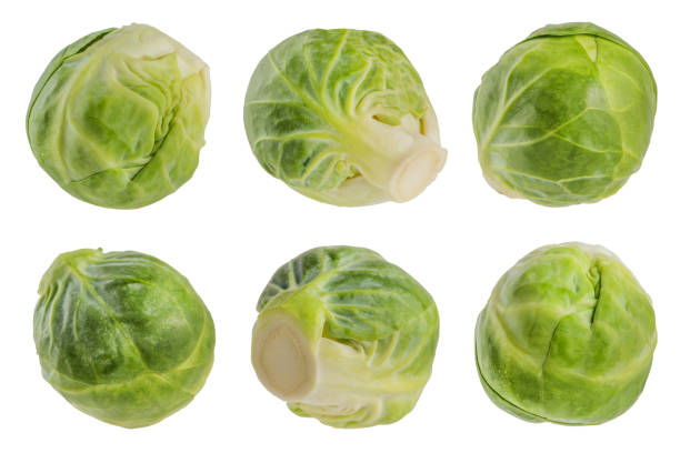 istock Green Brussels sprouts on a white isolated background. Flying vegetables isolated on white. Scatter a set of cabbage in different directions. Tasty and healthy food concept 1497939840