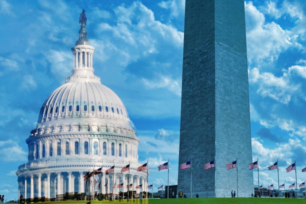 Democrats Political Agenda, Big Government