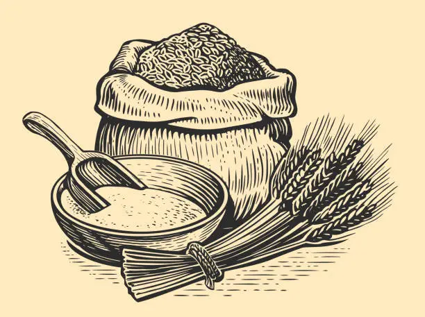 Vector illustration of Grain in burlap sack, bowl of flour with wooden scoop and wheat ears. Farm food. Vintage sketch vector illustration