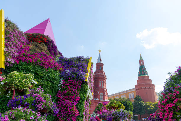Colourful building decorations with various petunia flowers on walls in a sunny summer day. Moscow Kremlin tower in the background. Soft focus. Summer flower festival theme.