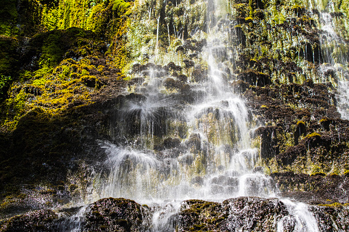 Fresh waterfall trickling over moss covered rocks.