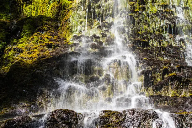 Photo of Fresh waterfall trickling over moss covered rocks