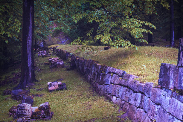 istock enclosure wall of Sarmizegetusa fortress 1497943856