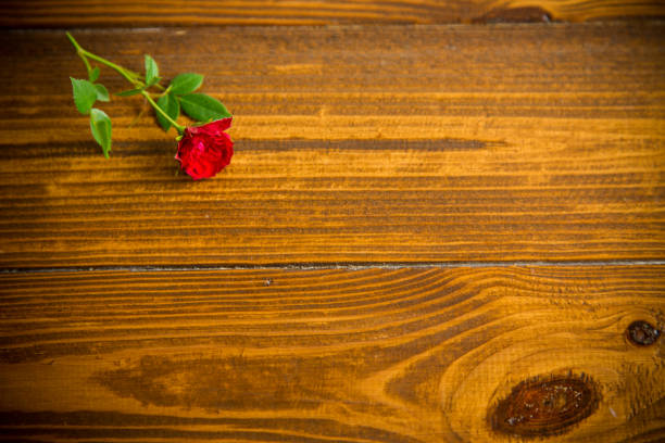 natural wooden dark background and small red rose on the side.
