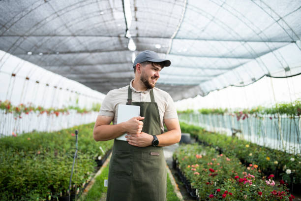 istock Male florist working in a greenhouse and using digital tablet. 1497949559