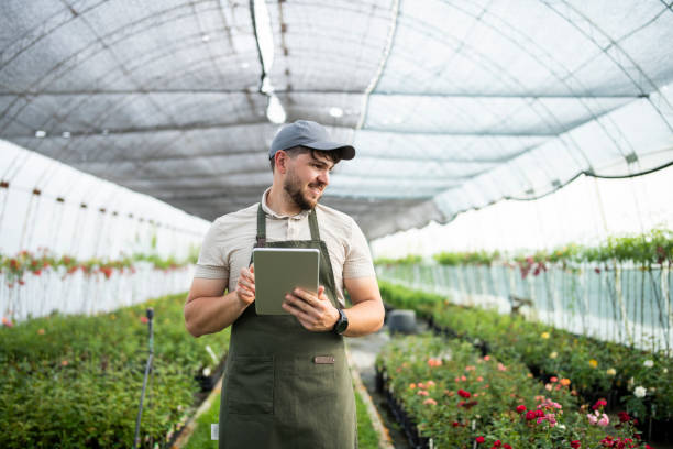 istock Male botanist using digital tablet to check quality control of flowers. 1497949601
