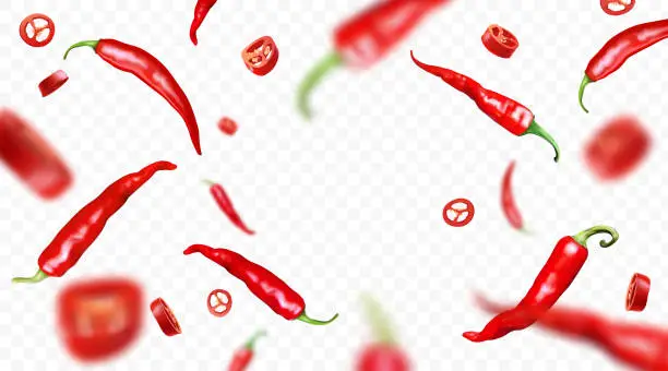 Vector illustration of Falling realistic red chilli peppers isolated on transparent background. Flying defocusing hot peppers, whole and cut pieces. Ideal for advertising, package, banner design. Vector illustration.