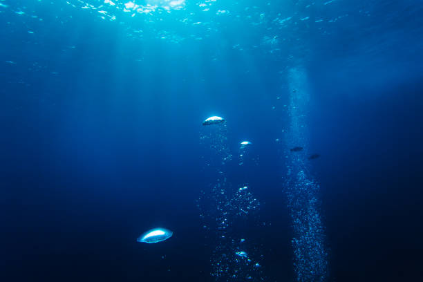 Air bubbles rising to the surface with light rays from scuba diving in the ocean.