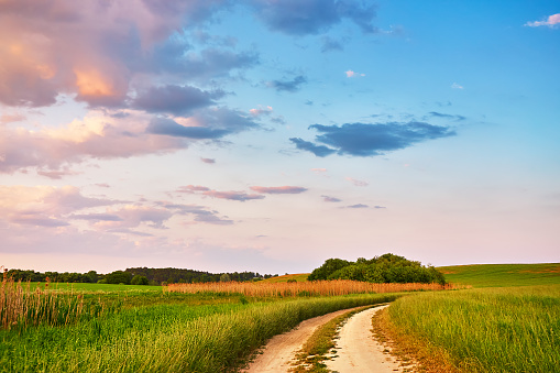 Rural road in fields and meadows at sunset time in summer. Beautiful agriculture landscape with trees, hills, green grass, clouds. Dirt empty path in growing wheat and cereals panorama. Europe