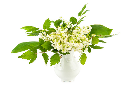 Delicate lilies of the valley in a vase isolated on white background.