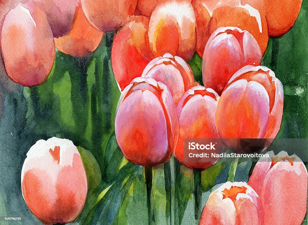 Tulips Botany stock illustration