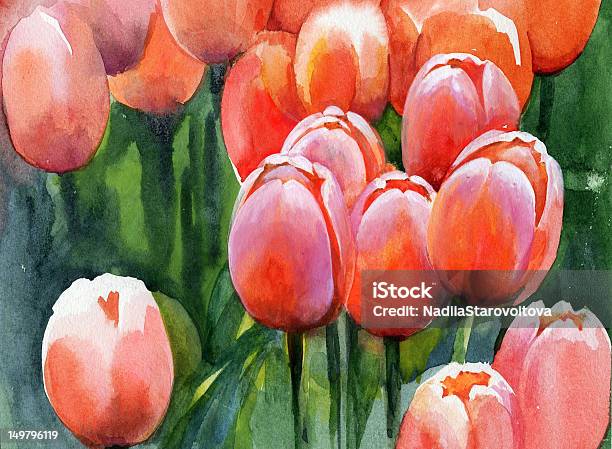 Tulips Stock Illustration - Download Image Now - Botany, Celebration, Flower Head