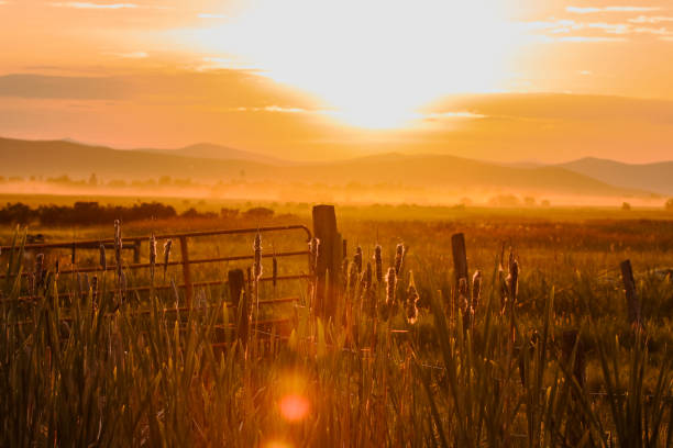 tramonto in montana - montana summer usa color image foto e immagini stock