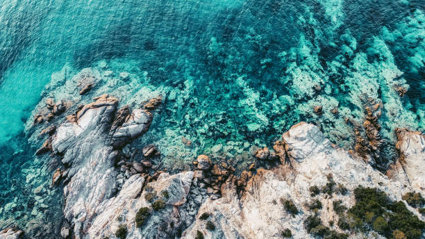 istock Aerial View Of A Sea Coastline 1497967076