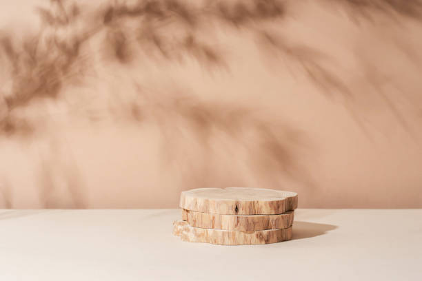 Tropical leaf shadow blank background composition for product presentation. The background is beige. Nude Studio Minimal showcase