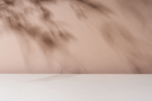 Composición de fondo en blanco de sombra de hoja tropical para la presentación del producto. El fondo es beige. Escaparate Nude Studio Minimal photo